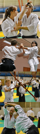 Aïkido traditionnel en Bretagne un art martial et pas un sport